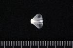 Arrowtooth Flounder (Basioccipital (Axial) - Dorsal)