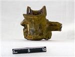 Giant Ice Age Bison (Lumbar Vertebrae 4 (Axial) - Ventral)